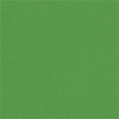 Aqua-Colora Gelbgrün sur érable